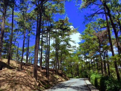 5 Days / 4 Nights PRIVATE Banaue, Sagada & Baguio Round Tour