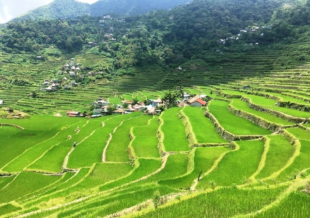 Customize Trip to the Banaue Rice Terraces & Beyond - Philippines ...