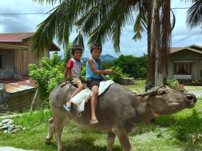 4 Days/3 Nights Tour of 7 Rice Terraces and Sagada - Image 7